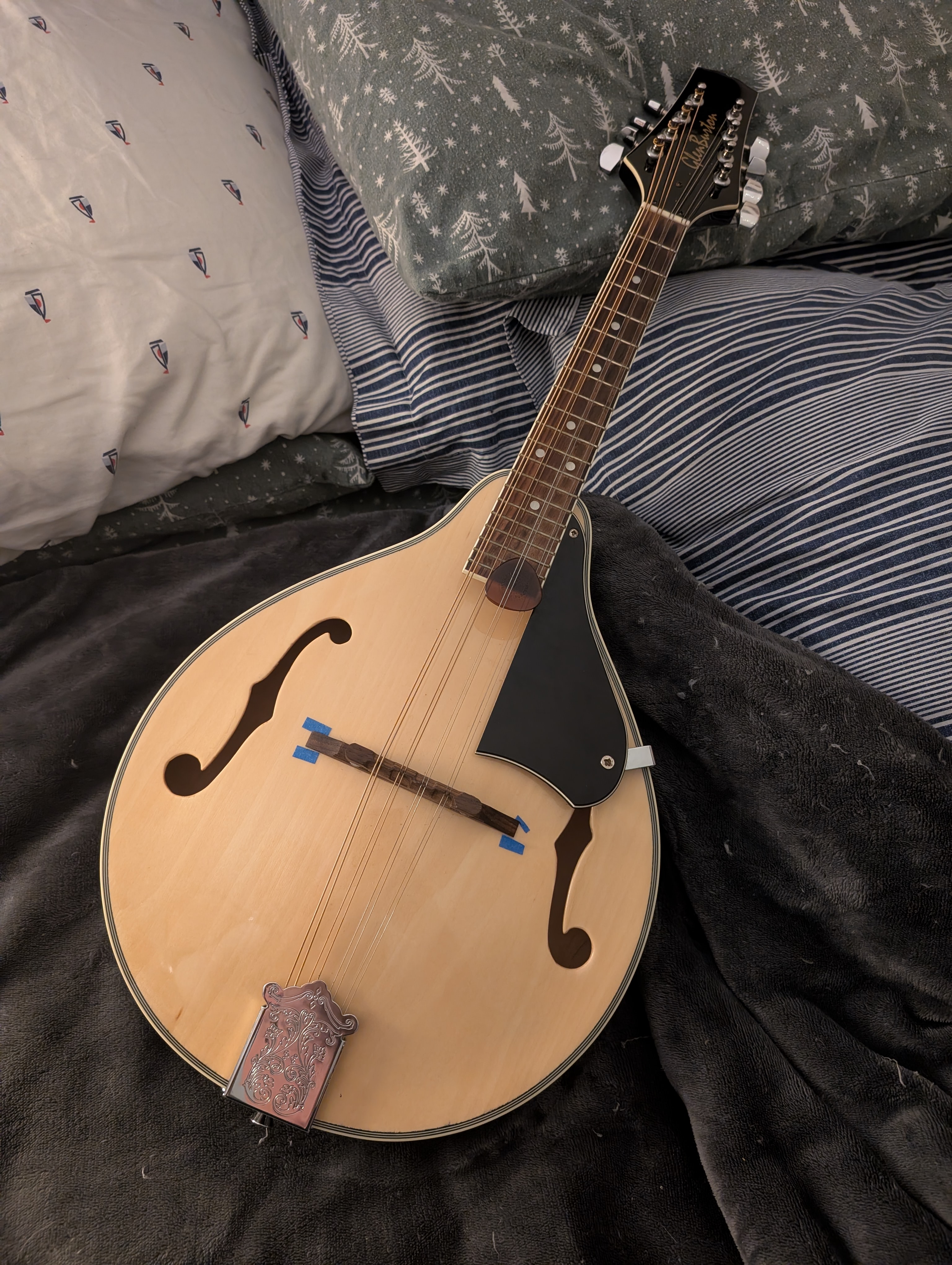 Mandolin